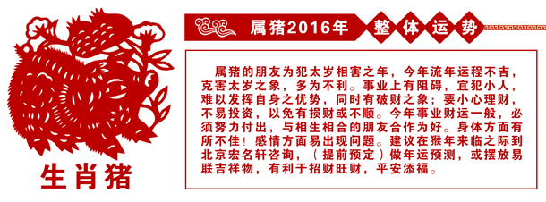 属猪的人2016年运势 属猪的人2016年运势