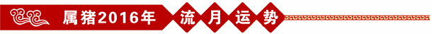 属猪2016年流年运势 属猪2016年流年运势
