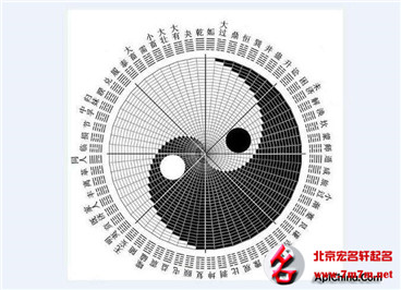 海鲜起名 海鲜起名