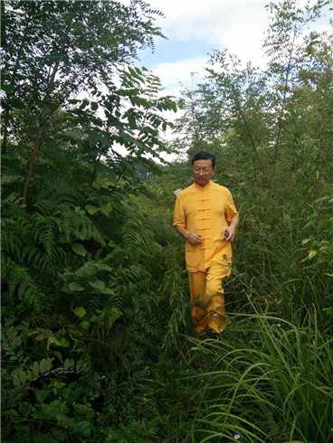 风水运势 风水运势
